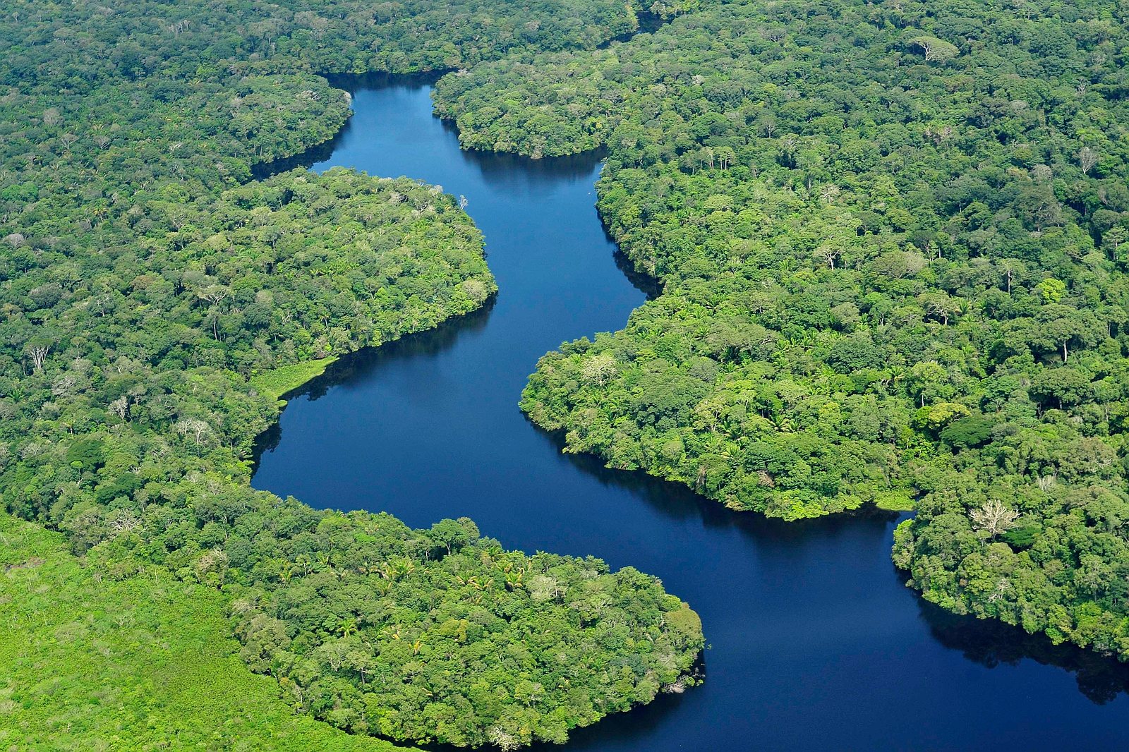 Amazon - Brazil, 2011. ©Neil Palmer/CIAT